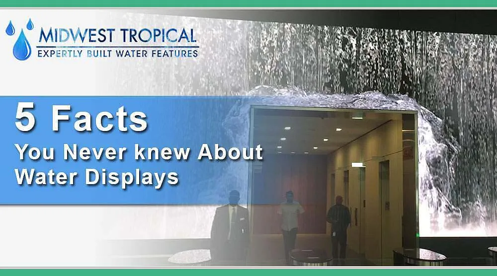 5-Facts-you-never-knew-about-Water-Displays