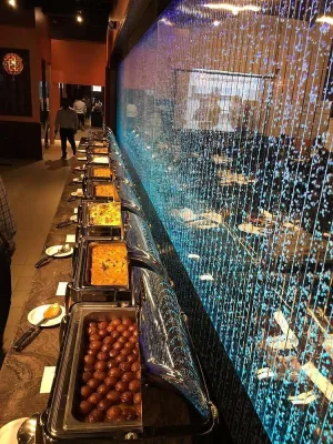 Bubble Wall at India Flavors Restaurant in Farmington Hills, Michigan 7