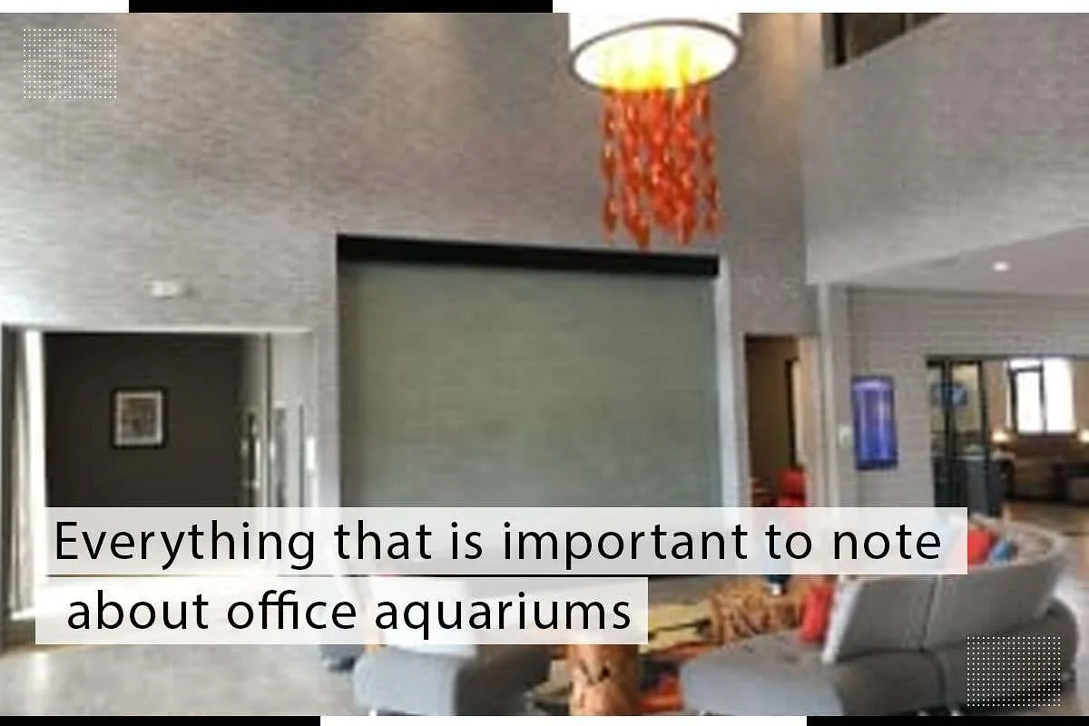 Everything That Is Important To Note About Office Aquariums