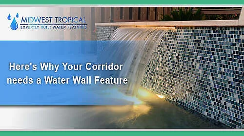 Here's why Your Corridor needs a Water Wall Feature