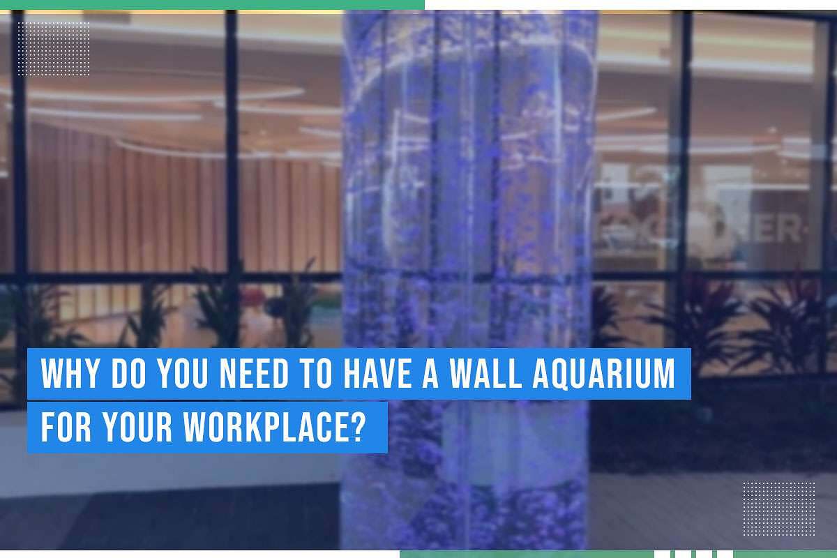 Why Do You Need To Have A Wall Aquarium For Your Workplace